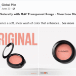 Global Piks Social Media-1