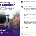 Global Sync Social Media Management & Content Writing-10